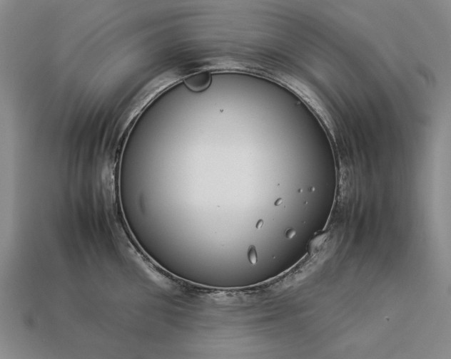 X0000113260906200909241520