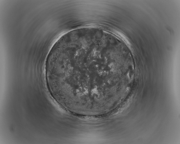 X0000113260907200909241520