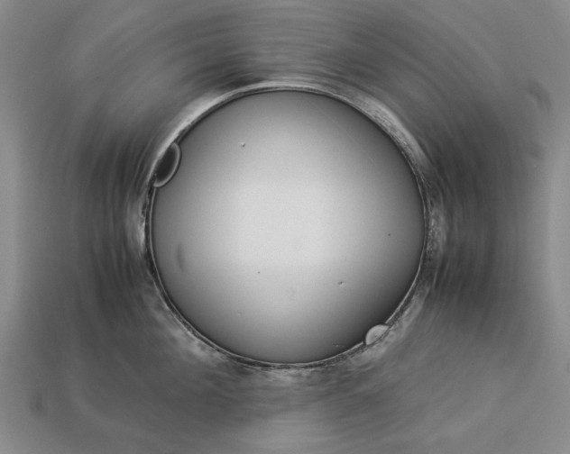 X0000113260908200909241520