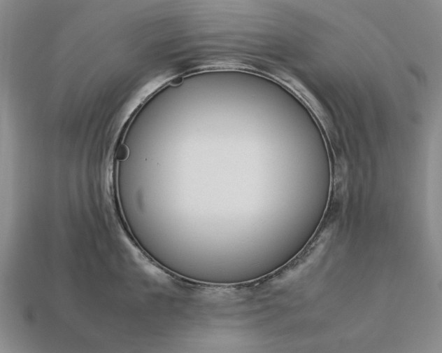 X0000113260909200909241520