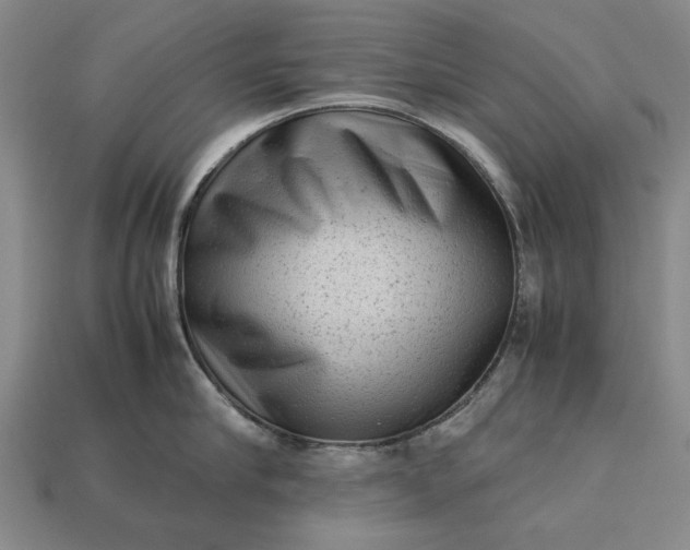 X0000113260910200909241520