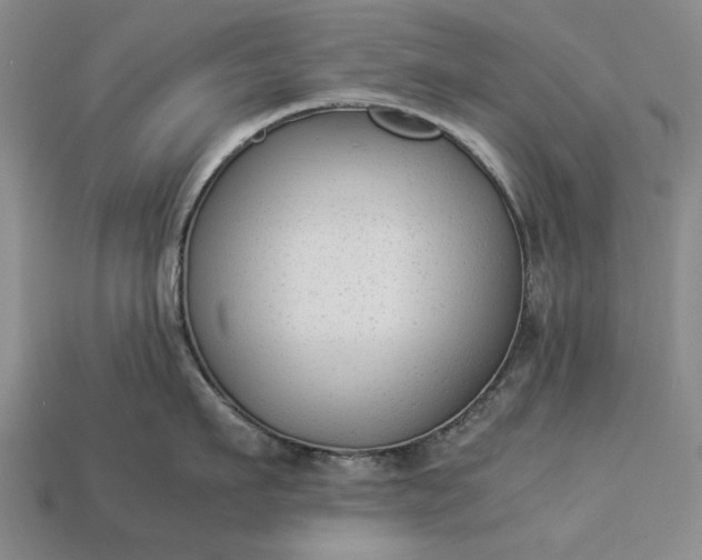 X0000113260911200909241520