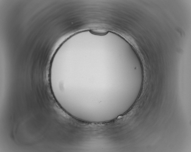 X0000113260912200909241520