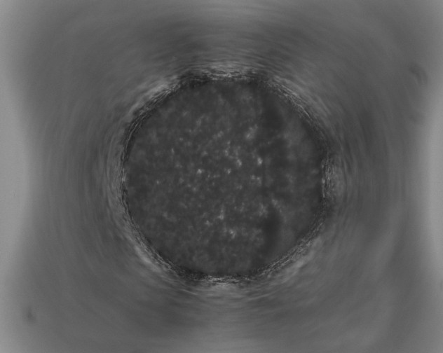 X0000113260913200909241519