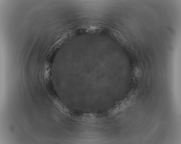 X0000113260914200909241519