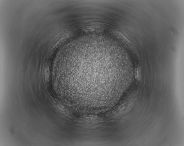 X0000113260915200909241519