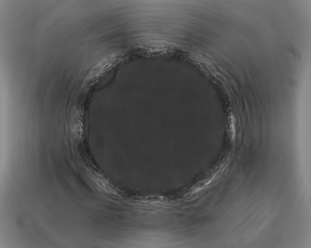 X0000113260916200909241519