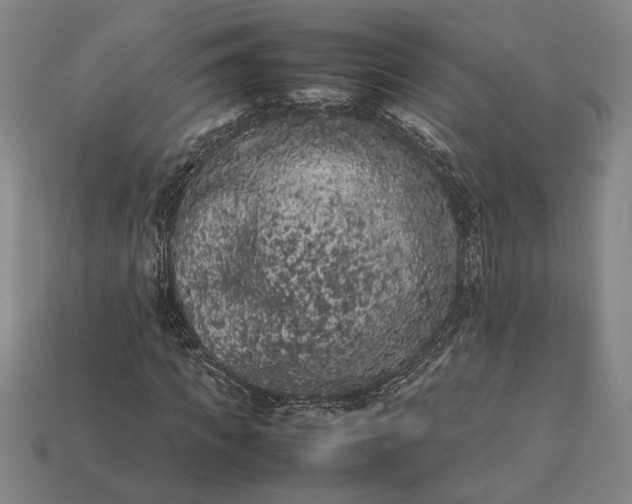 X0000113260917200909241519