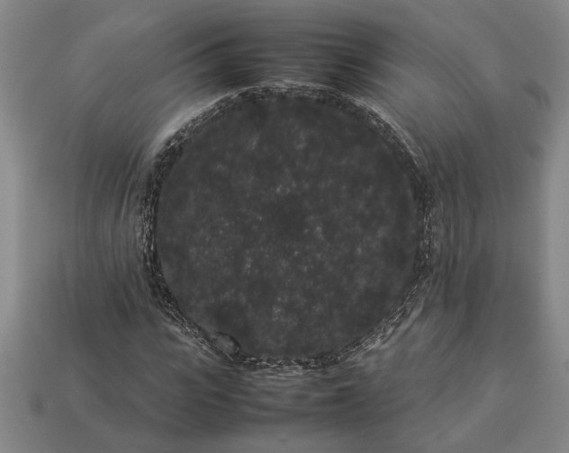 X0000113260919200909241519