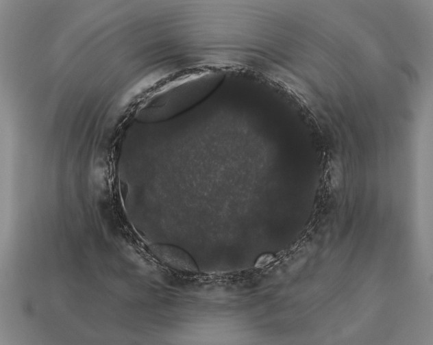 X0000113260920200909241519