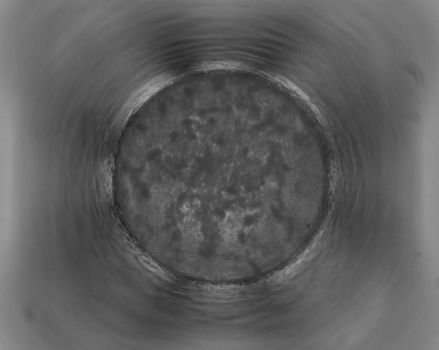 X0000113260921200909241519