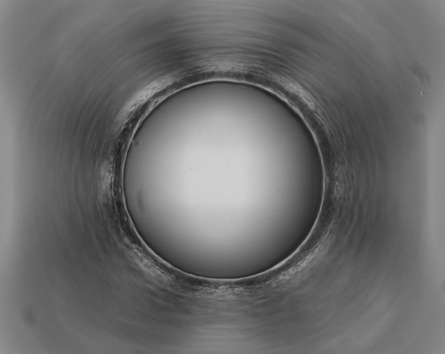 X0000113260922200909241519