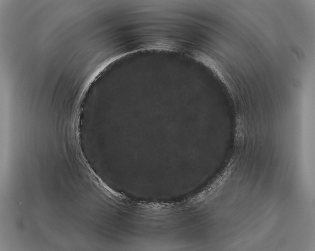 X0000113260923200909241519