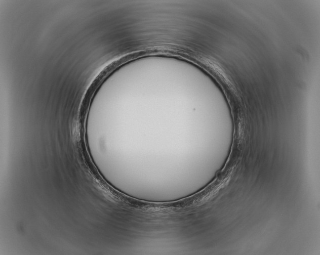 X0000113260924200909241519