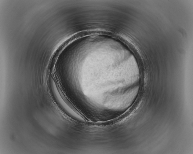 X0000113260925200909241519