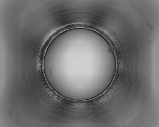 X0000113260927200909241519