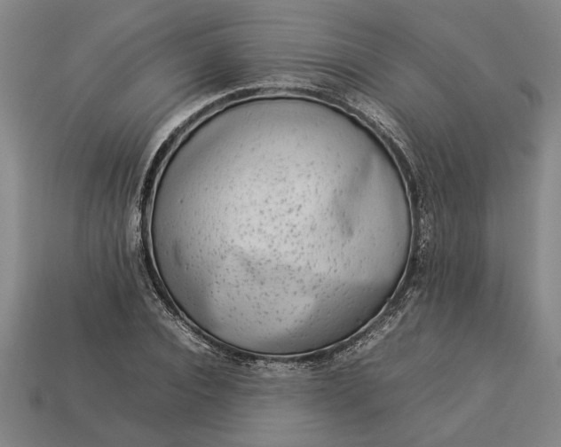 X0000113260928200909241519