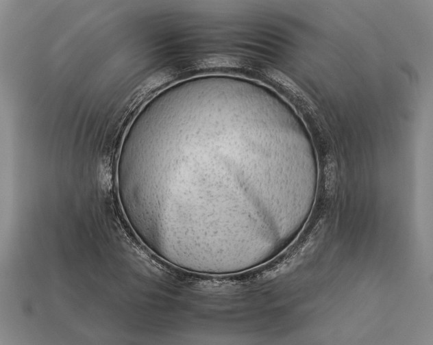 X0000113260929200909241519