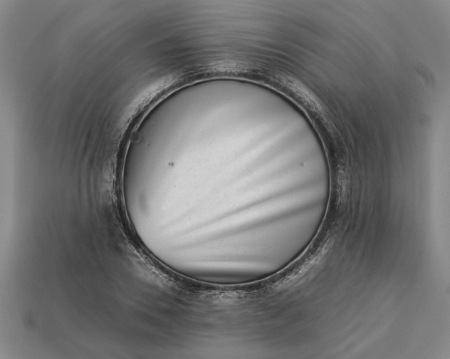 X0000113260930200909241519