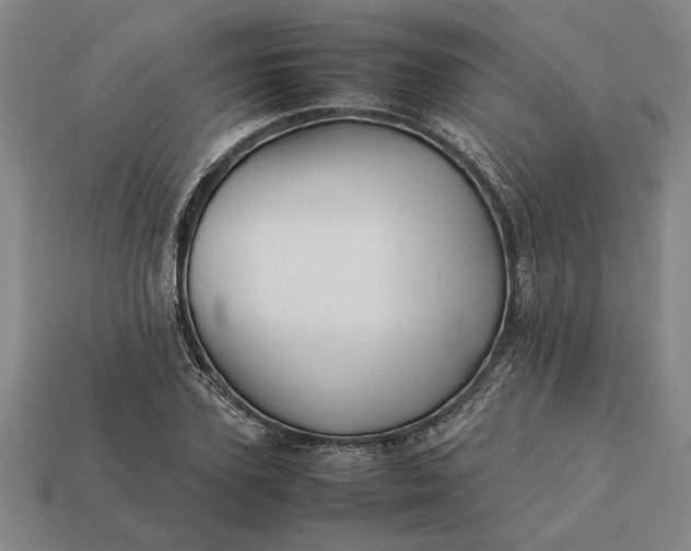 X0000113260931200909241519