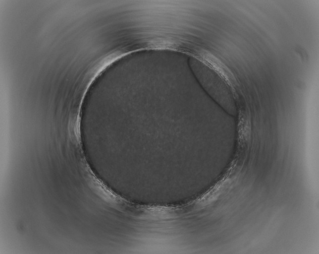 X0000113260932200909241519