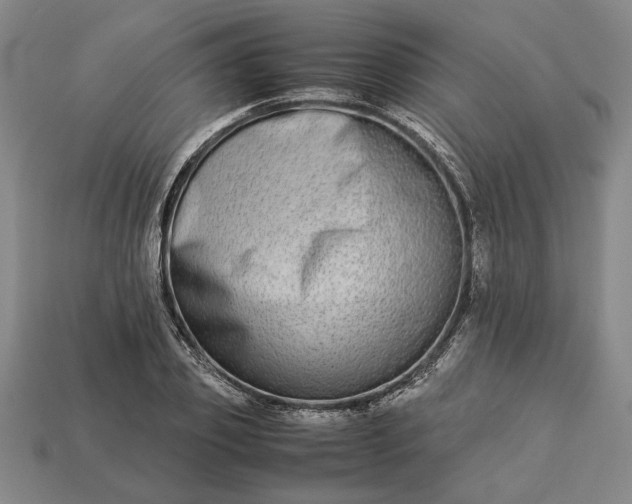 X0000113260933200909241519