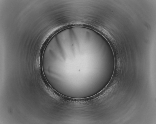 X0000113260934200909241519