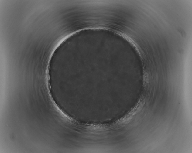 X0000113260935200909241519