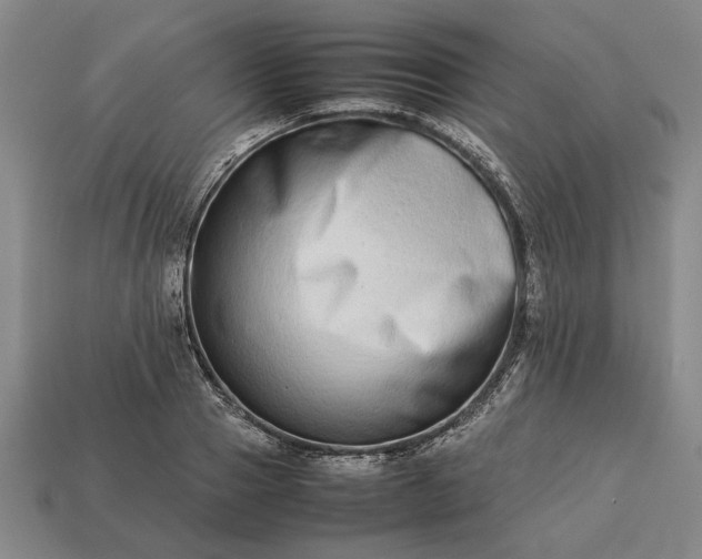 X0000113260937200909241519