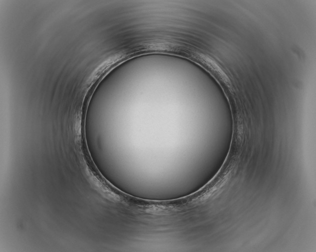 X0000113260938200909241519