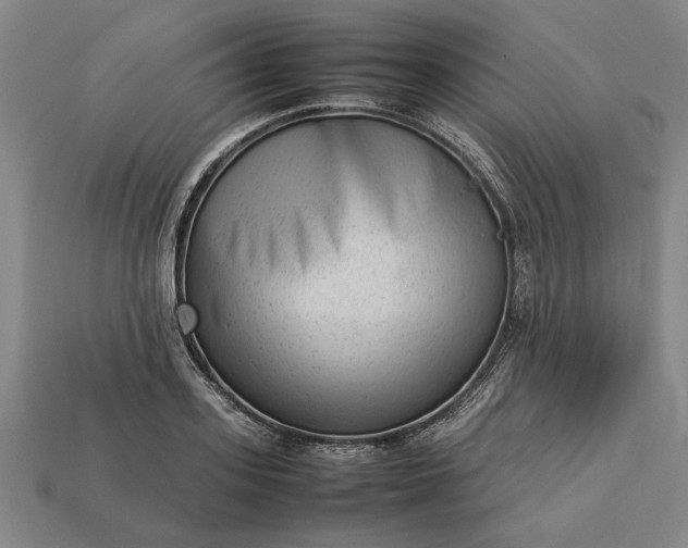 X0000113260939200909241519