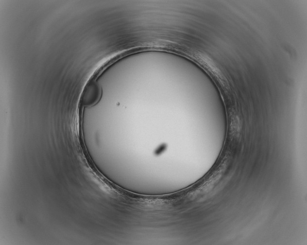 X0000113260940200909241519