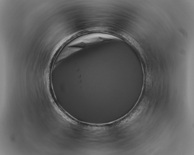 X0000113260941200909241519