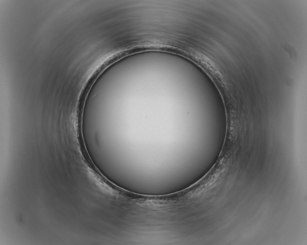 X0000113260942200909241519