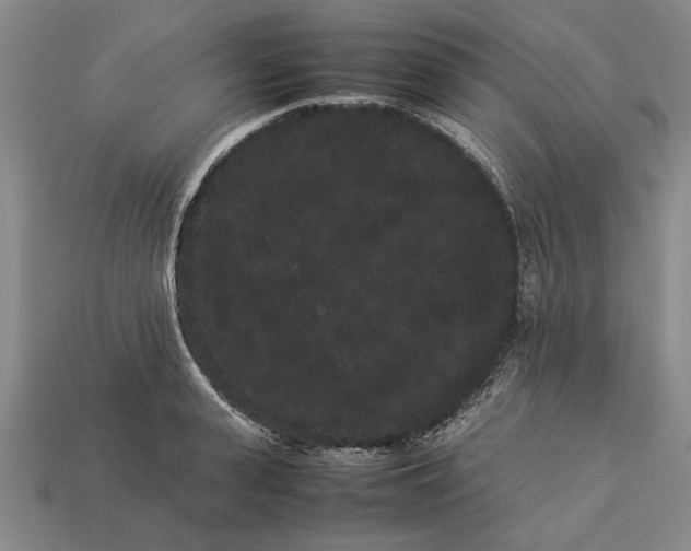 X0000113260943200909241519