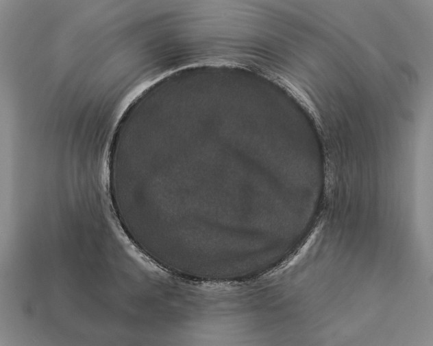 X0000113260944200909241519