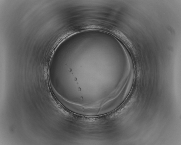 X0000113260945200909241519