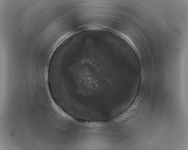 X0000113260946200909241519