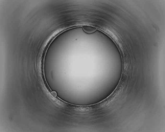 X0000113260947200909241519