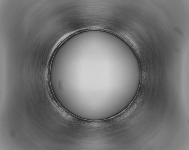 X0000113260948200909241519