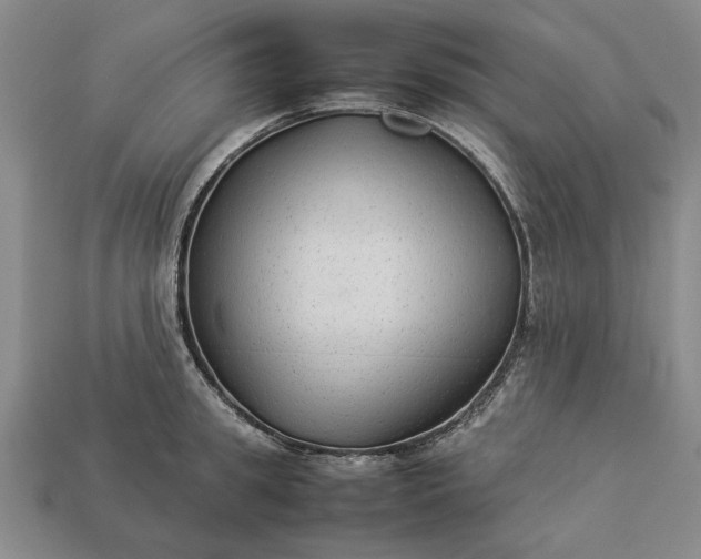 X0000113260949200909241519