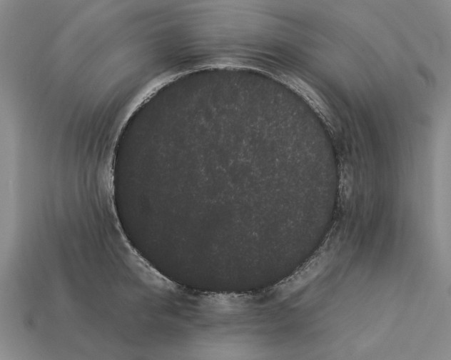 X0000113260950200909241519