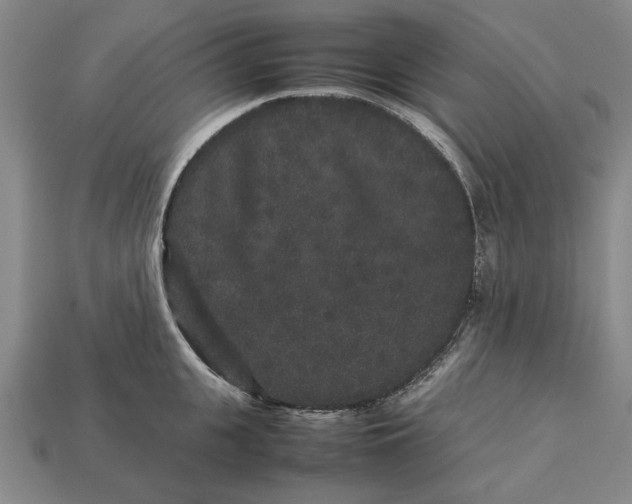 X0000113260951200909241519