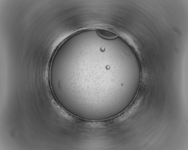 X0000113260952200909241519