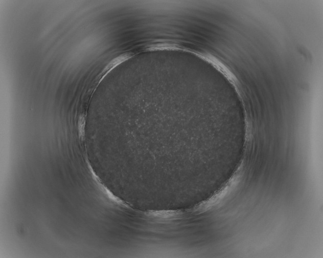 X0000113260953200909241519