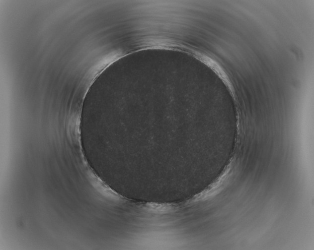 X0000113260954200909241519