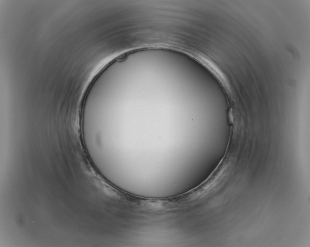 X0000113260956200909241519