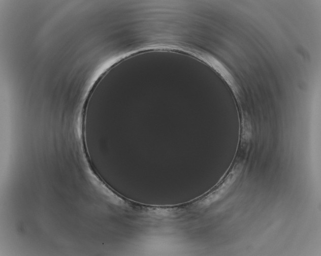 X0000113260958200909241520