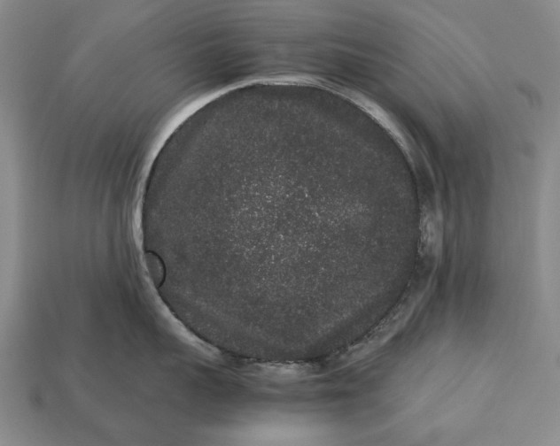 X0000113260959200909241520