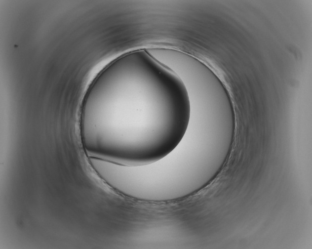 X0000113260960200909241520